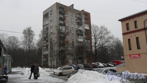 Зеленогорск, улица Комсомольская, дом 3. 9-этажный жилой дом серии 1-528кп40 1968 года постройки. 1 парадная, 25 квартир. Фото 3 февраля 2016 года.