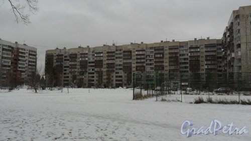 Улица Щербакова, дом 3, корпус 1. 10-этажный жилой дом серии 1ЛГ-606.11-87 1996 года постройки. 6 парадных, 233 квартиры. Вид дома со двора. Фото 4 февраля 2016 года.