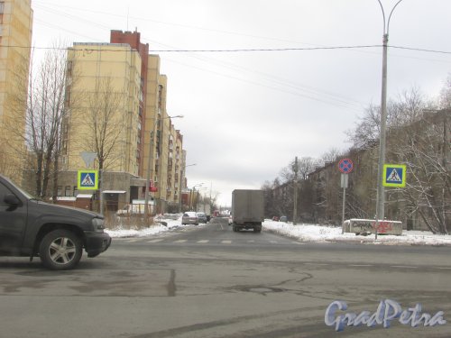 Перспектива улицы Дудко от улицы Бабушкина в сторону улицы Седова. Фото 17 февраля 2016 года.