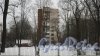Новороссийская улица, дом 20. 9-этажный жилой дом серии 1-528кп40 1965 года постройки. 1 парадная, 45 квартир. Фото 19 февраля 2016 года.