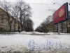 Бульвар на улице Типанова на участке между улицей Ленсовета и проспектом Юрия Гагарина. Фото 26 февраля 2016 года.