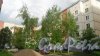 Шушары, Пушкинская улица, дом 20. Вид дома со двора. Фото 24 мая 2016 года.