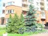 Санкт-Петербург, Красногвардейский р-н, Лазо ул. д.5. Фрагмент озеленения во дворе жилого дома. Фото 2016 года.