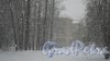 Всеволожский район, поселок имени Морозова, улица Хесина, дом 11. Начальная школа поселка имени Морозова, (81370)3-62-42. Фото 5 ноября 2016 года, сказочный снегопад, запечатленный в вечность.
