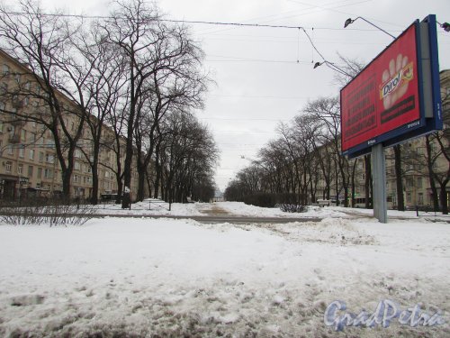 Бульвар на улице Типанова на участке между улицей Ленсовета и проспектом Юрия Гагарина. Фото 26 февраля 2016 года.