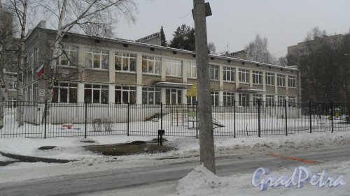 Улица Болотная, дом 3. Детский сад №123 комбинированного вида Выборгского района Санкт-Петербурга. Фото 27 февраля 2016 года.