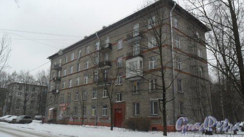 Гданьская улица, дом 19. 5-этажный жилой дом серии 1-405 1959 года постройки. 5 парадных, 72 квартиры. Фото 27 февраля 2016 года.