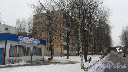 г. Всеволожск, улица Плоткина, дом 17. 5-этажный жилой дом 1980 года постройки. 4 парадные, 60 квартир. Фото 4 марта 2016 года.