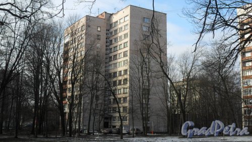 Улица Орбели, дом 11. 12-этажный жилой дом серии ш-5833/14 1968 года постройки. 2 парадные, 84 квартиры. Фото 13 марта 2016 года.