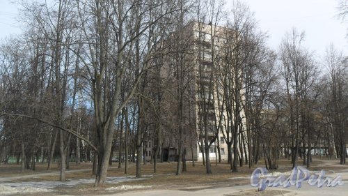 Улица Болотная, дом 11. 12-этажный жилой дом серии щ-5416 1968 года постройки. 2 парадные, 84 квартиры. Фото 18 марта 2016 года.