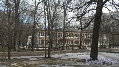 Болотная улица, дом 15. Детский сад №5 комбинированного вида Выборгского района Санкт-Петербурга. Фото 18 марта 2016 года.