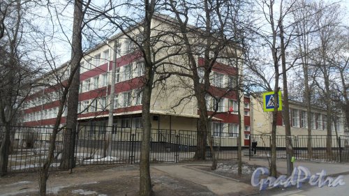 Улица Болотная, дом 18, корпус 1. Средняя общеобразовательная школа №76 Выборгского района Санкт-Петербурга. Фото 18 марта 2016 года.