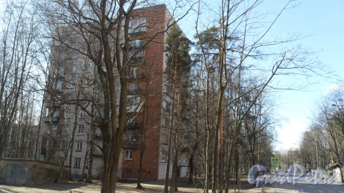 Рашетова улица, дом 13, корпус 1. 9-этажный жилой дом серии 1-528кп40 1966 года постройки. 1 парадная, 45 квартир. Фото 18 марта 2016 года.