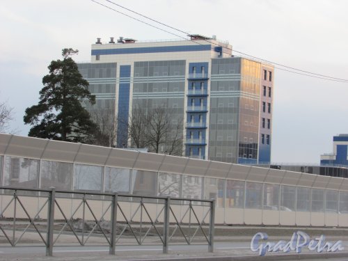 дорога в Каменку, дом 74. Одно из зданий резидента ОСЗ «Новоорловская». Фото 21 марта 2016 года.