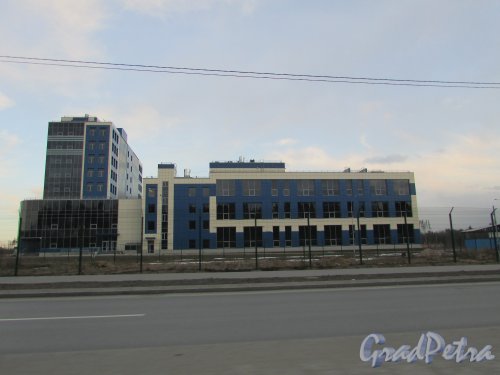 дорога в Каменку, дом 74. Общий вид зданий резидента ОСЗ «Новоорловская». Фото 21 марта 2016 года.