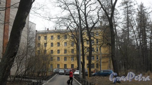 Новороссийская улица, дом 26. Общежитие Лесотехнической Академии. Вид дома со двора. Фото 2 апреля 2016 года.