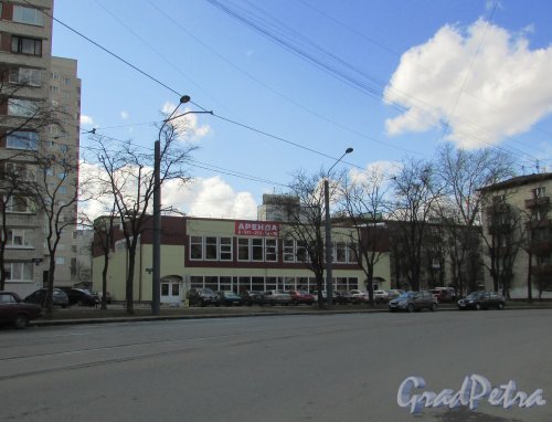 улица Ленсовета, дом 41, корпус 2, литера А. Общий вид здания со стороны улицы Ленсовета. Фото 7 апреля 2016 года.