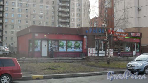 Улица Щербакова, дом 6А. Торговый павильон. Продуктовый магазин. Цветы. Грузинская кухня. Фото 8 апреля 2016 года.