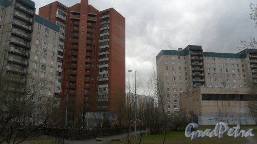 Улица Бадаева, дом 1, корпус 2. 16-этажный жилой дом 1997 года постройки. 1 парадная, 94 квартиры. Вид дома со двора. Фото 22 апреля 2016 года.