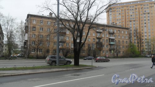 Улица Сердобольская, дом 11. 5-этажный жилой дом серии 1-528кп 1961 года постройки. 6 парадных, 120 квартир. Секция дома, обращенная к Гагаринскому парку. Фото 28 апреля 2016 года.