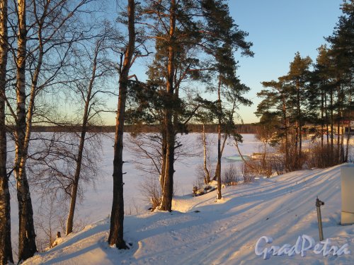 Вид на Курголовское озеро от Спорткомплекса на улице Лесгафта. фото февраль 2015 г.