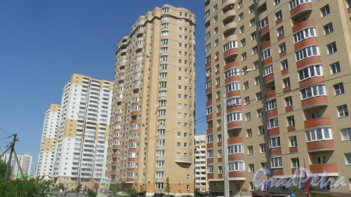Шушары, Вишерская улица, дом 16. 20-этажный жилой дом. Фото 24 мая 2016 года.