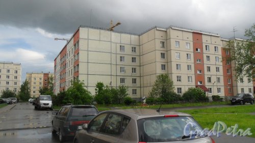 Шушары, улица Пушкинская, дом 18. 5-этажный жилой дом серии 121-0139 2000 года постройки. 6 парадных, 120 квартир. Фото 24 мая 2016 года.