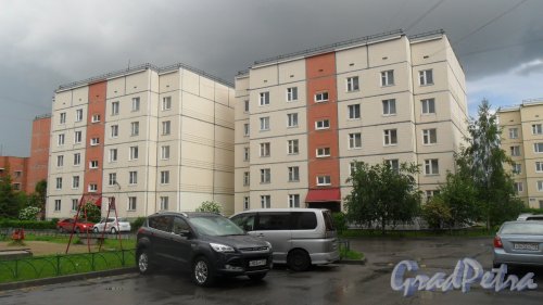 Шушары, улица Пушкинская, дом 20. 5-этажный жилой дом 121 серии 2000 года постройки. 6 парадных, 120 квартир. Фото 24 мая 2016 года.