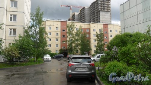Шушары, улица Пушкинская, дом 22. 5-этажный жилой дом 121 серии 2000 года постройки. 6 парадных, 120 квартир. Фото 24 мая 2016 года.