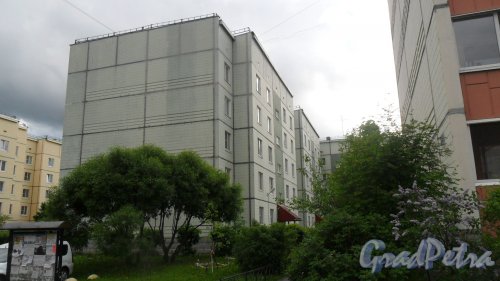 Шушары, улица Пушкинская, дом 24. 5-этажный жилой дом 121 серии 2000 года постройки. 3 парадные, 60 квартир. Фото 24 мая 2016 года.