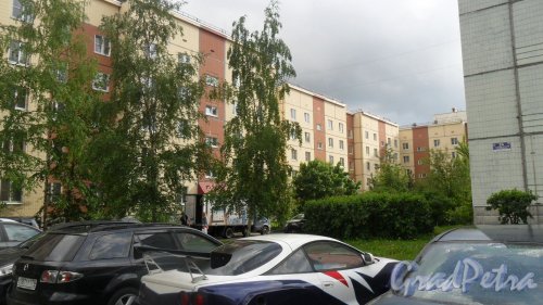 Шушары, Пушкинская улица, дом 22. Вид дома со стороны двора. Фото 24 мая 2016 года.