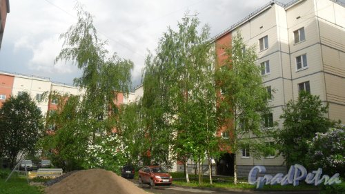 Шушары, Пушкинская улица, дом 20. Вид дома со двора. Фото 24 мая 2016 года.