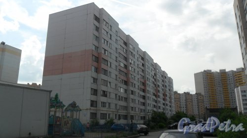 Шушары, Пушкинская улица, дом 36. 10-этажный жилой дом серии 600.11 2006 года постройки. 6 парадных, 239 квартир. Фото 30 мая 2016 года.