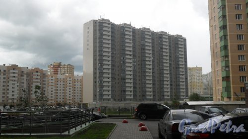 Шушары, Первомайская улица, дом 15. 19-этажный жилой дом 2010 года постройки. 5 парадных, 361 квартира. Фото 10 июня 2016 года.