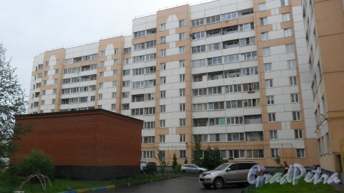 Шушары, улица Первомайская, дом 17. 10-этажный жилой дом серии 600.11 2009 года постройки. 4 парадные, 160 квартир. Фото 10 июня 2016 года.
