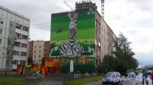 Шушары, улица Пушкинская, дом 22. Граффити на стене дома и детская площадка перед домом. Фото 10 июня 2016 года.