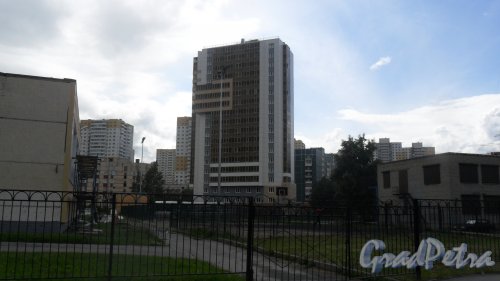 Шушары, Первомайская улица, дом 8. 16-этажный жилой дом 2014 года постройки. Управляющая компания "Уют", сайт компании ae-comfort.ru. Фото 10 июня 2016 года.
