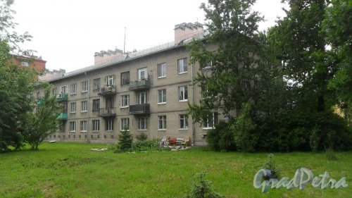 Шушары, Первомайская улица, дом 2. 3-этажный жилой дом 1958 года постройки. 3 парадные, 27 квартир. Фото 11 июня 2016 года.