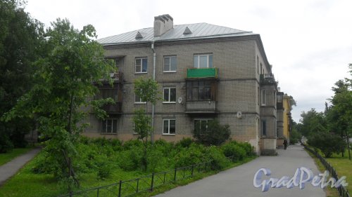 Шушары, улица Пушкинская, дом 4. 3-этажный жилой дом 1958 года постройки. 3 парадные, 27 квартир. Фото 11 июня 2016 года.