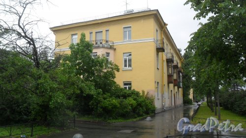 Шушары, Пушкинская улица, дом 2. 3-этажный жилой дом 1955 года постройки. 2 парадные, 16 квартир. Фото 13 июня 2016 года.