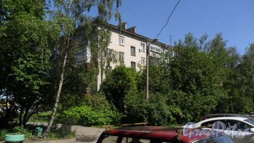 Шушары, Школьная улица, дом 14. 5-этажный жилой дом серии 1-528кп 1972 года постройки. 4 парадные, 80 квартир. Фото 14 июня 2016 года.
