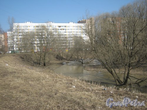 Авангардная ул., дом 20 корпус 2 и река Дудергофка перед ним. Фото апрель 2012 г.
