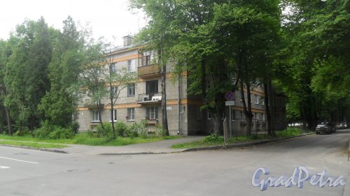 Пушкин, улица Чистякова, дом 6 / улица Глинки, дом 9. 3-этажный жилой дом 1960 года постройки. 2 парадные, 27 квартир. Фото 23 июня 2016 года.