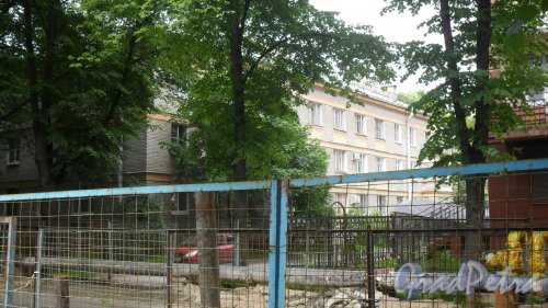 Пушкин, улица Глинки, дом 14. 3-этажный жилой дом 1958 года постройки. 2 парадные, 27 квартир. Фото 23 июня 2016 года.