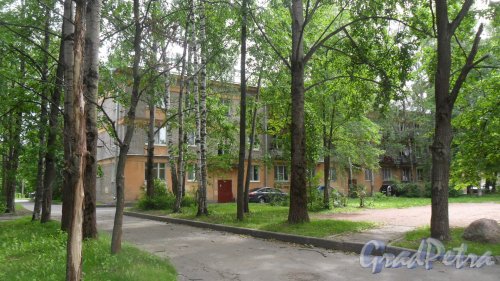 Пушкин, улица Чистякова, дом 4. 3-этажный жилой дом 1958 года постройки. 3 парадные, 27 квартир. Фото 23 июня 2016 года.