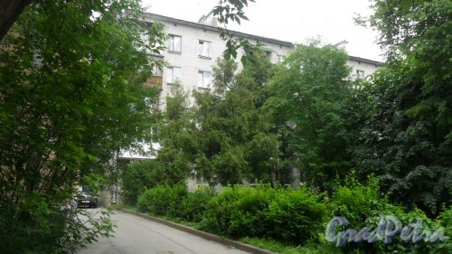 Пушкин, улица Глинки, дом 28. 5-этажный жилой дом серии 1-528кп 1964 года постройки. 2 парадные, 40 квартир. Фото 23 июня 2016 года.