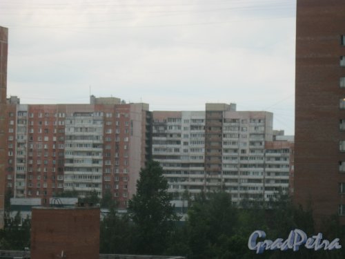 ул. Маршала Захарова, дом 56. Вид с 7 этажа дома 43, корпус 1 по пр. Маршала Жукова. Фото 3 июля 2016 г.