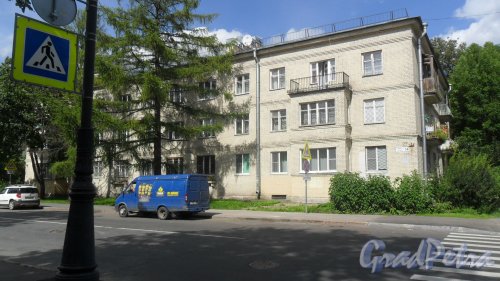 Пушкин, улица Пушкинская, дом 54. 3-этажный жилой дом серии 1-305 1954 года постройки. 3 парадные, 27 квартир. Фото 10 августа 2016 года.
