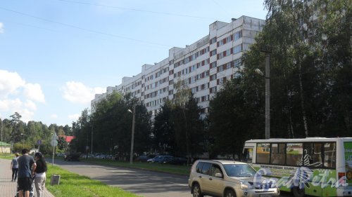 Всеволожск, Ленинградская улица, дом 21, корпус 2. 9-этажный жилой дом серии 1-ЛГ600А 1988 года постройки. 8 парадных, 286 квартир. Фото 23 августа 2016 года.