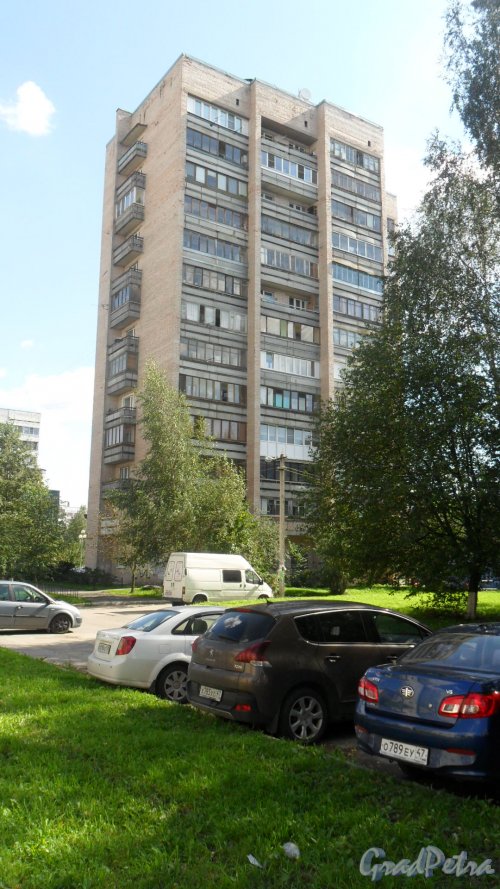 Всеволожск, Ленинградская улица, дом 19, корпус 1. 14-этажный жилой дом серии 1-528кп84 1985 года постройки. 1 парадная, 94 квартиры. Фото 23 августа 2016 года.